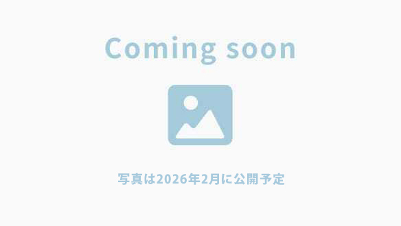 noimage_202602